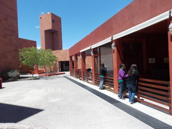Museo Interactivo Laberinto de las Ciencias y las Artes